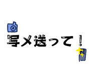 845062101