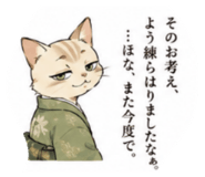 845062156