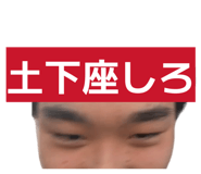 845062384