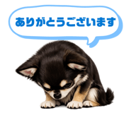 845062737