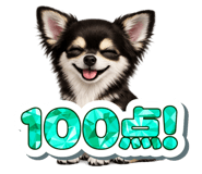 845062750