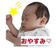 845062806