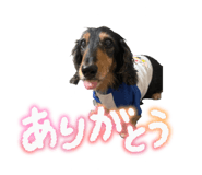 845062873