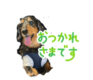 845062875