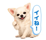 845062910