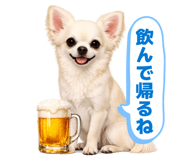 845062923