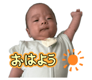 845063118
