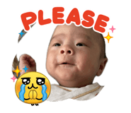 845063136