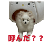 845063292