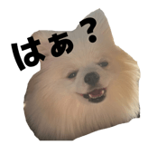 845063294