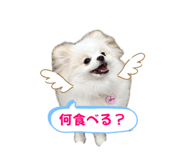 845063301