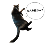 845063316