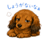 845063414