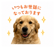 845063425