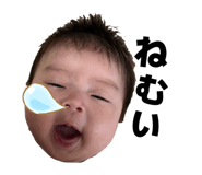 845063508