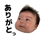 845063510