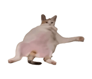 845063525