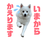 845063610