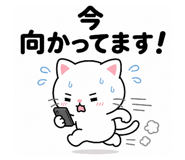 845063661