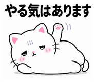 845063684