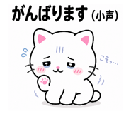 845063685