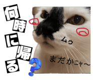 845063696