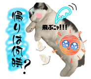 845063700