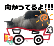 845063708