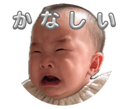 845063733