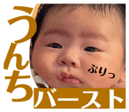 845063774