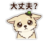 845063874