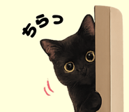 845064020