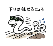 845064305