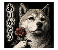 845064435