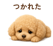 845064516