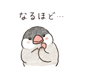 845064591