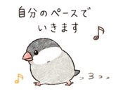 845064608