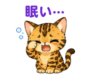 845064627
