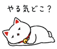 845064843