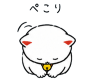 845064853
