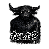 845064877