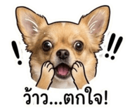 845067455