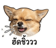 845067456