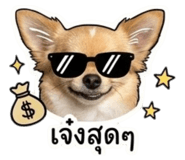 845067458