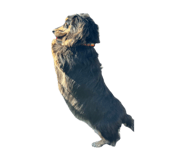 845067895