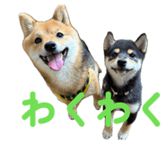 845068141