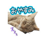 845068659