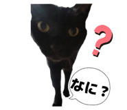 845068666