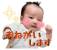 845068755