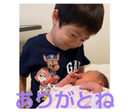 845070328